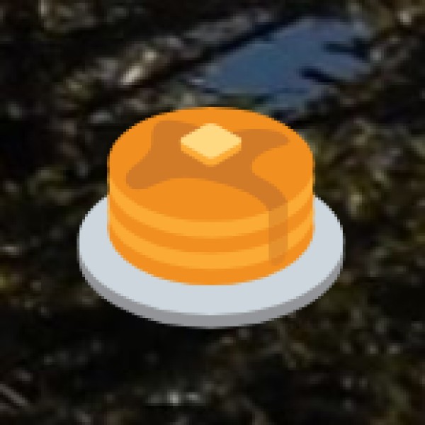 Must-Try Vegetarian Food in Salem