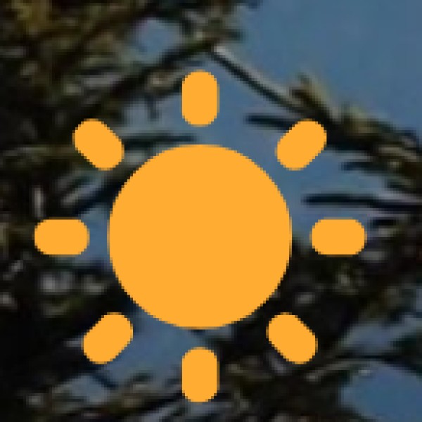 Local Cuisine in Thoothukudi