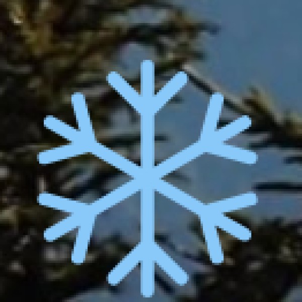 Thoothukudi Macaroons