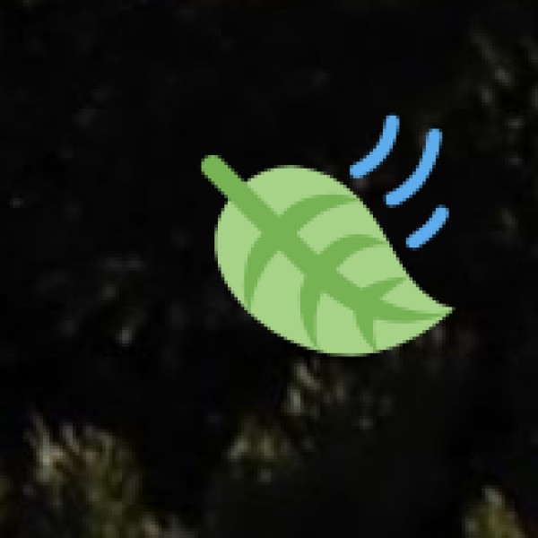 food lover’s paradise