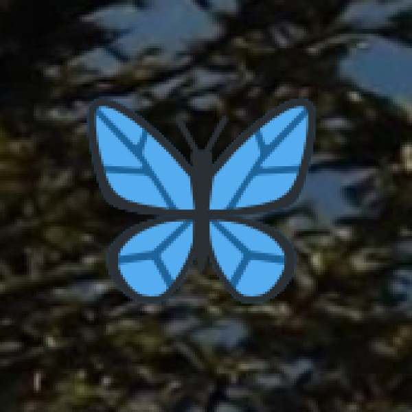 Food Festivals & Culinary Experiences in Vellore