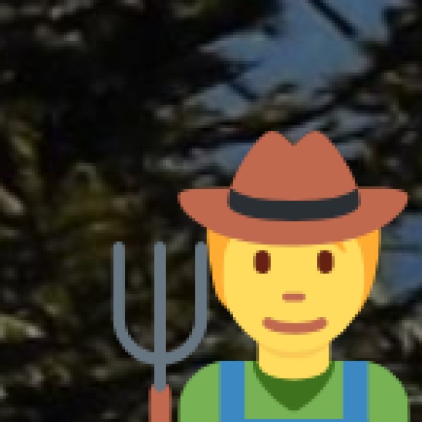 Best Shopping Markets in Salem