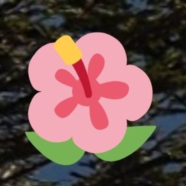 Road Transport Options