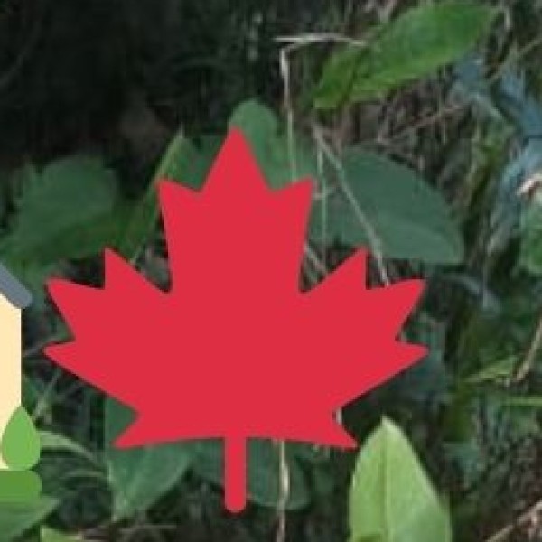 Travel Tips for Eluru