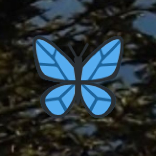 Distance & Travel Time by Road