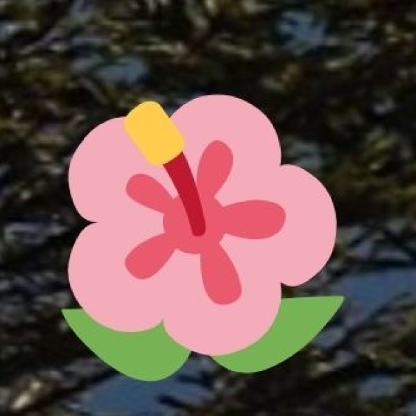 Best Way to Travel Around Shivamogga