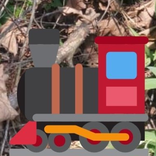 Major Trains to Tiruchirappalli