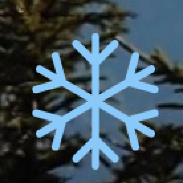 Major Bus Operators: