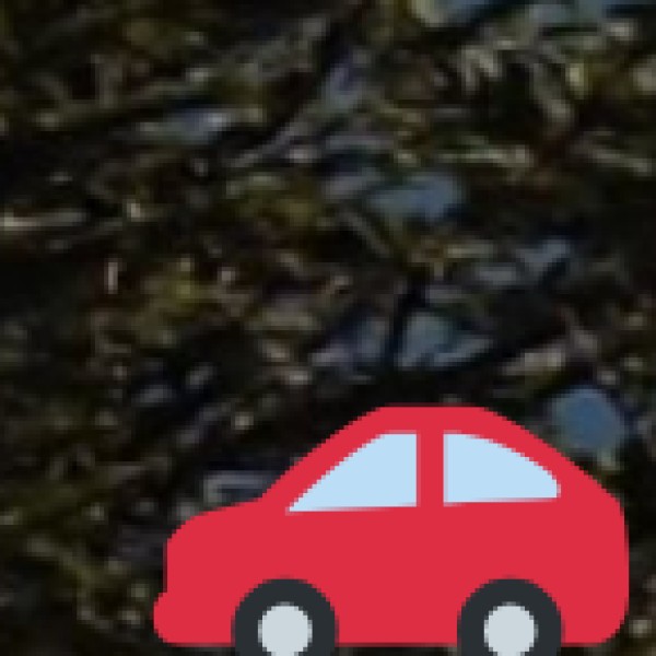 Travel & Transportation