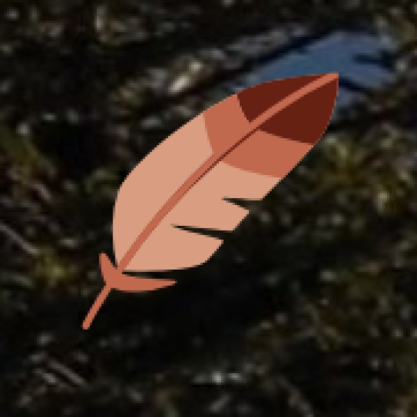 By Road (Hosur Bus Stand - NH 44)