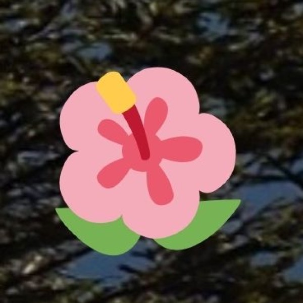 Travel Tips for Davangere