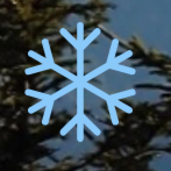 Public Transport – APSRTC Buses