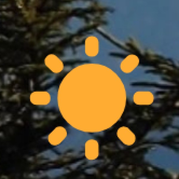 Road Transport Options