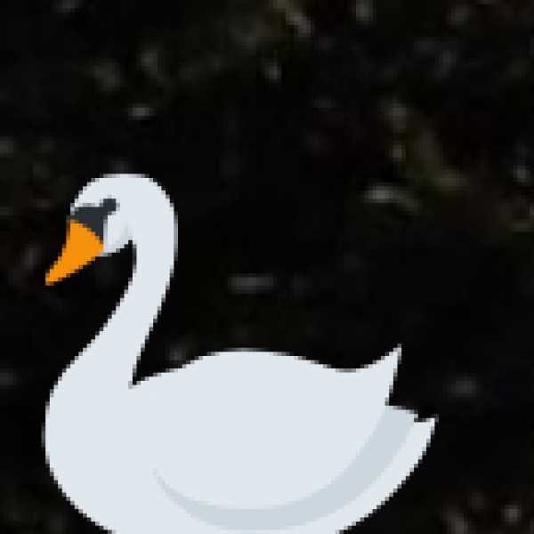 Pulicat Lake & Bird Sanctuary