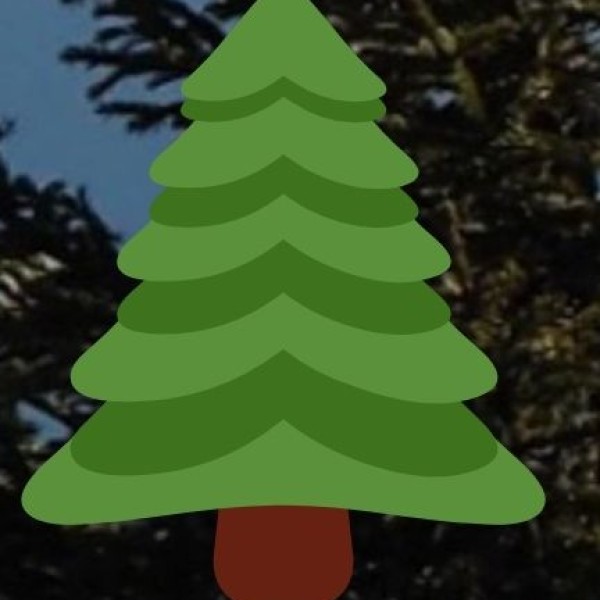 Historical Background: