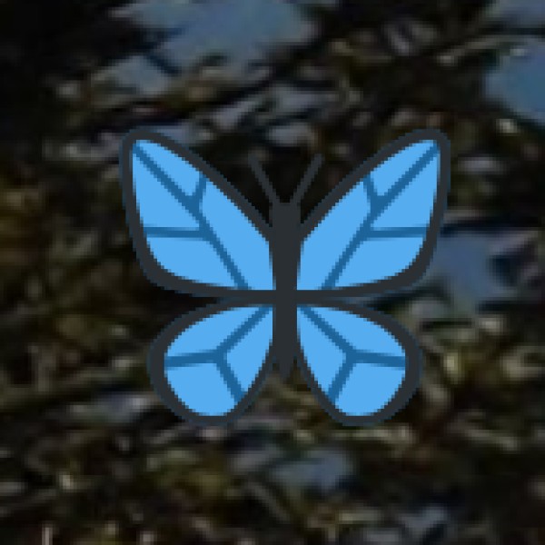 Top Tourist Attractions in Tiruchirappalli