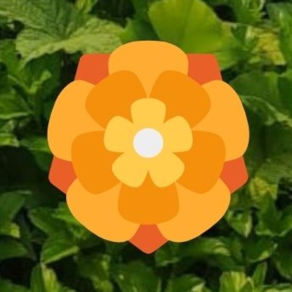 Quick Facts About Madurai