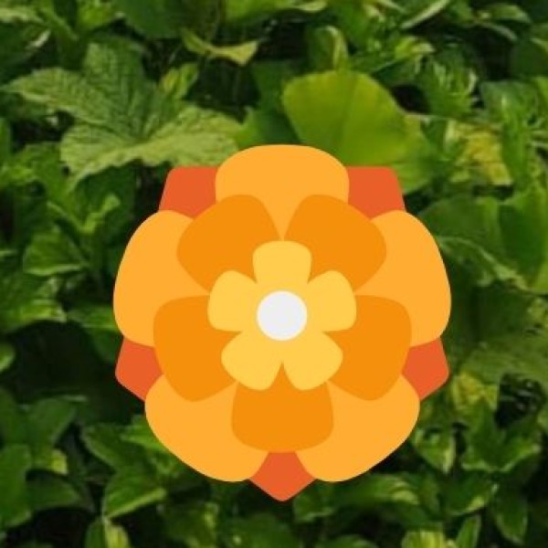 Quick Summary Table: