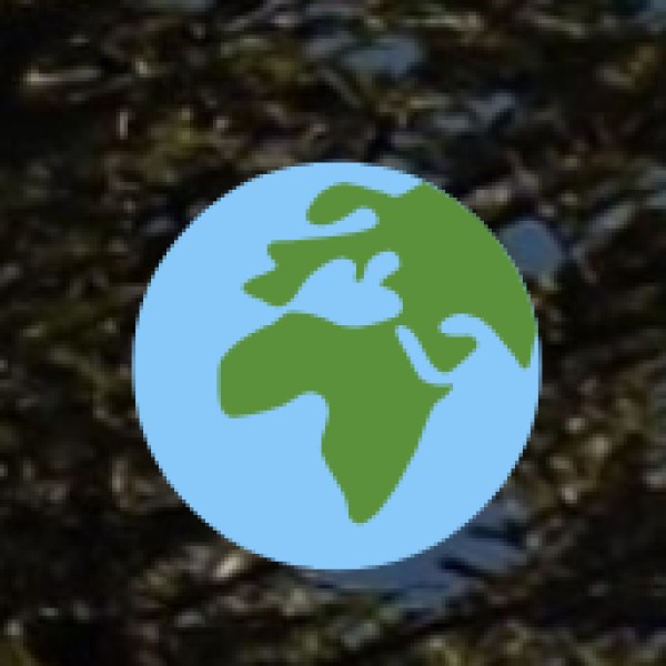 Quick Summary Table: