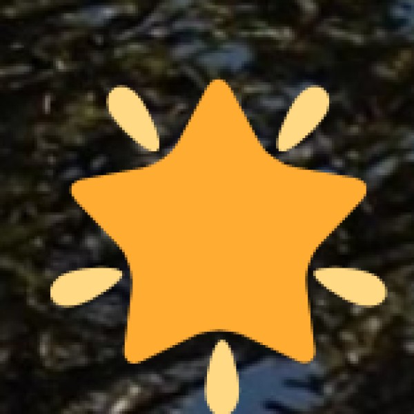 Safety & Travel Tips for Tirupur