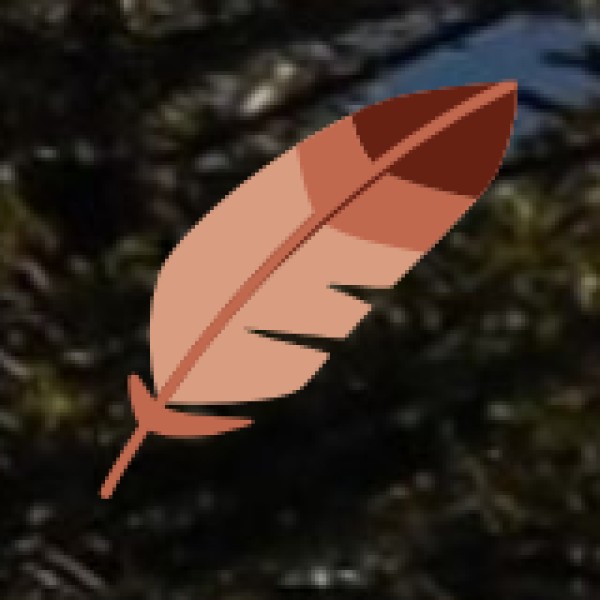 Culture and Festivals: