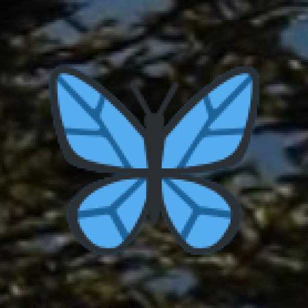 How to Reach Chennai?