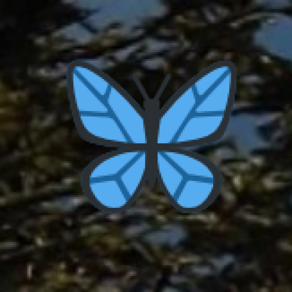 Location & Connectivity