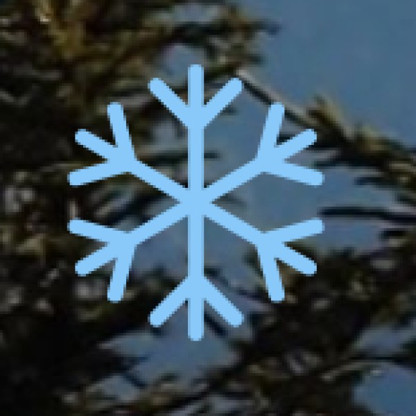 Shopping & Money Safety