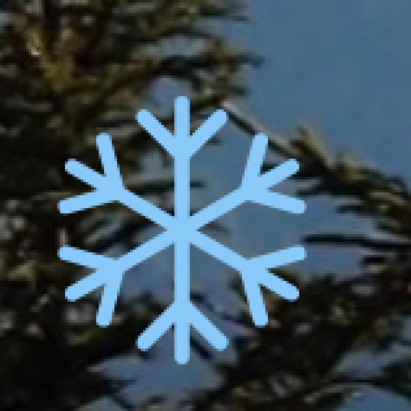 Transportation & Road Safety