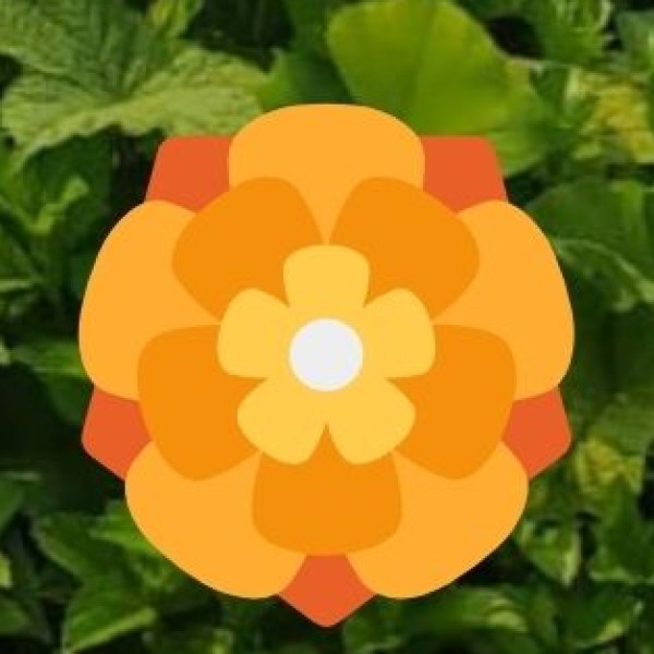 Quick Trichy Safety Checklist