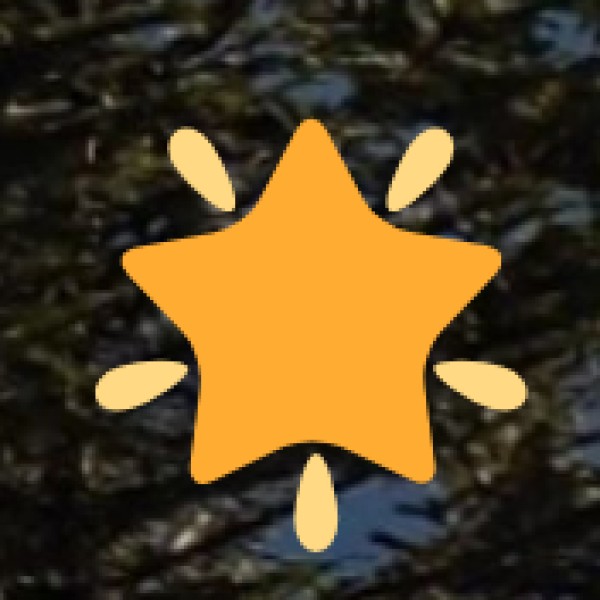 Shopping & Money Safety