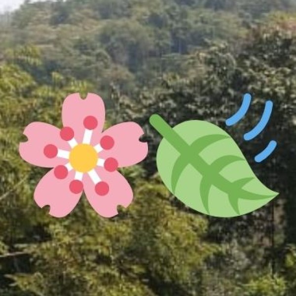 Trekking & Nature Safety