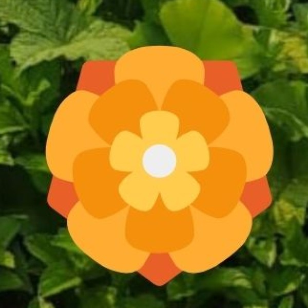 Packing Essentials Based on Season