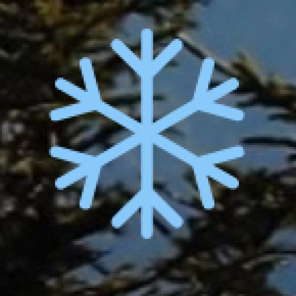 Shopping & Bargaining Tips