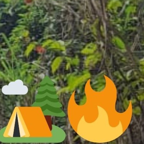 Local Transport Tips