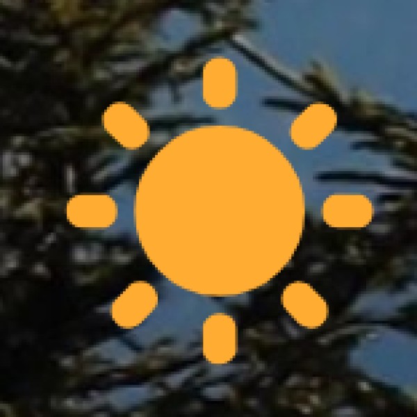 Cultural & Local Etiquette