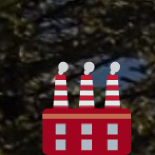 Money & Shopping Safety