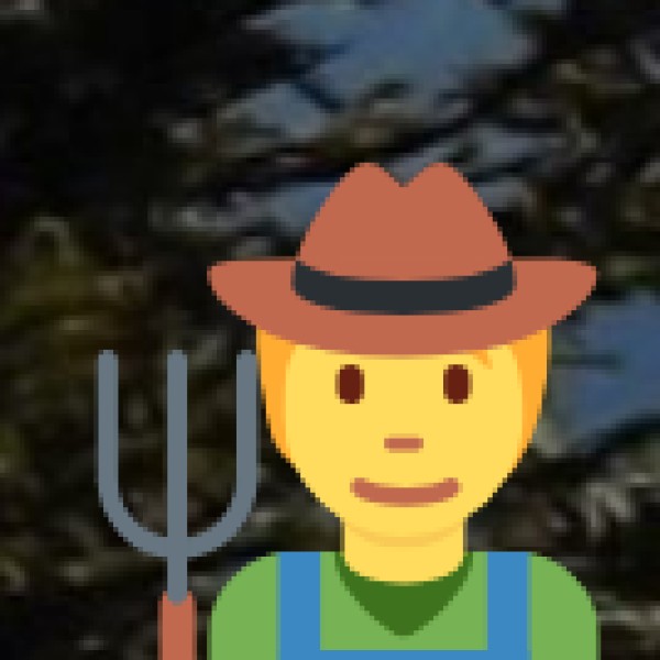 Weather & Packing Tips