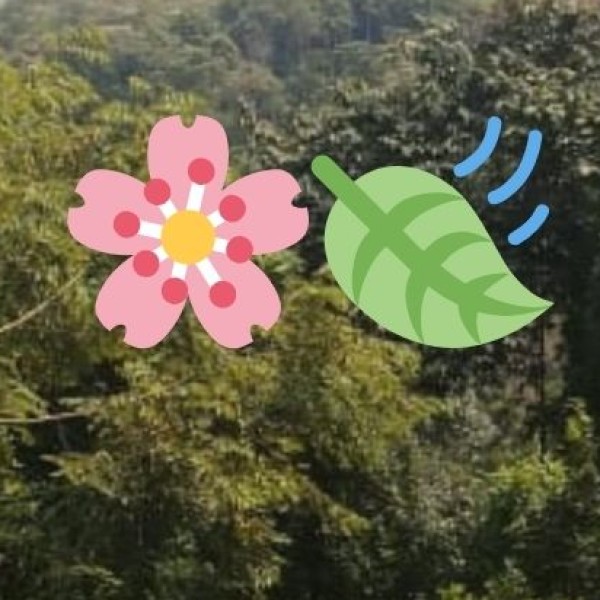 Temple & Cultural Etiquette