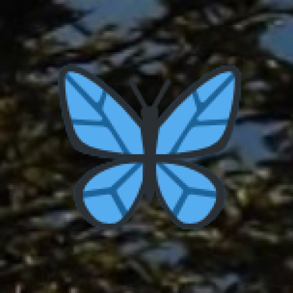 Accommodation & Stay Tips