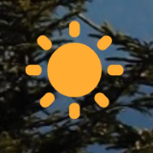 Transportation & Road Safety