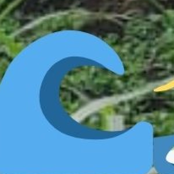 Beach & Island Safety