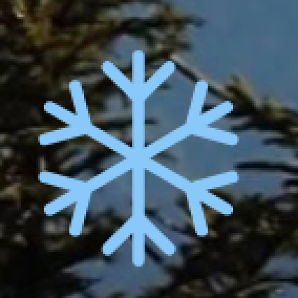 Transport & Commuting Tips