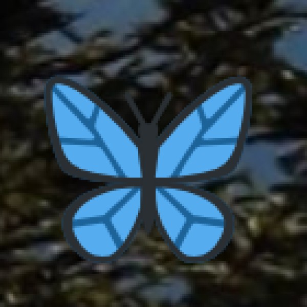 Transport & Road Safety Tips