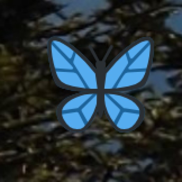 Best Time to Visit Davangere