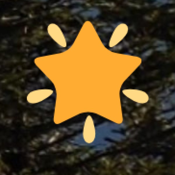 Must-Try Local Foods: