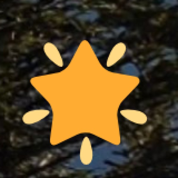 Wildlife & Eco-Tourism Safety