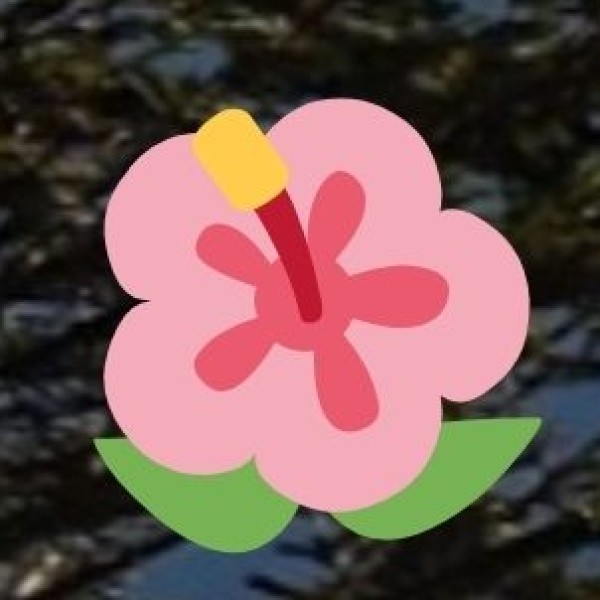 Festival & Nightlife Safety