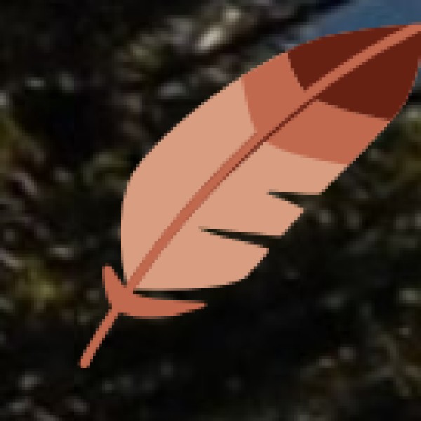 Transportation Safety