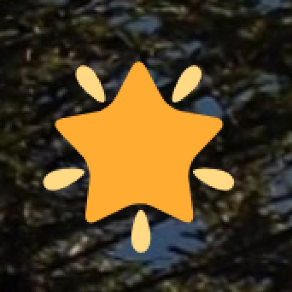 Packing Essentials Based on Season